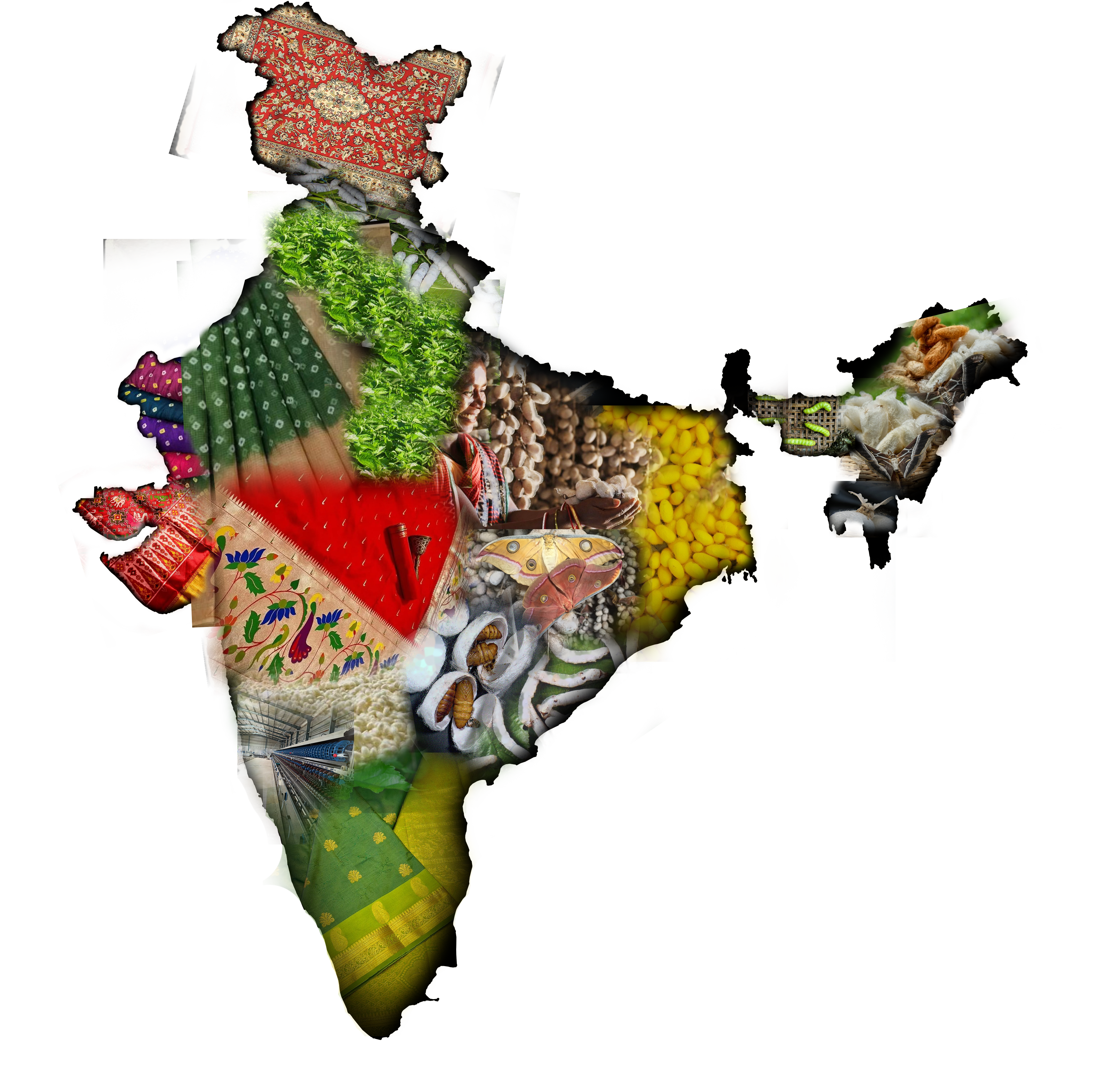 India Coverage Map